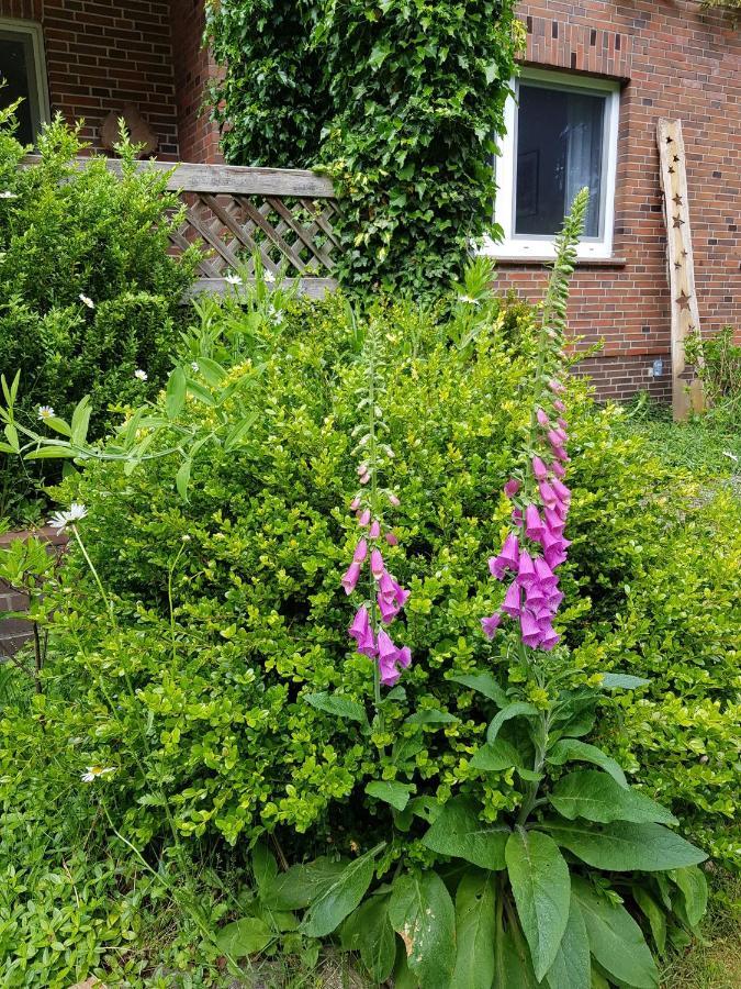 Ferienwohnung Im Naturgarten Schneverdingen Kültér fotó